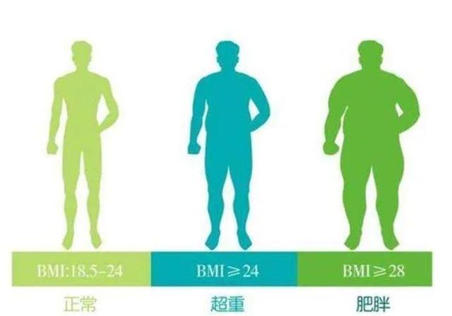 男生健体标准体重（男神体重标准表）(4)