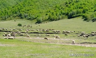 ​内蒙古自治区为何比新中国早成立2年？