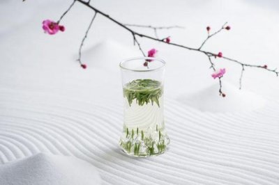 ​竹叶青茶什么时候喝好 竹叶青茶晚上能喝吗