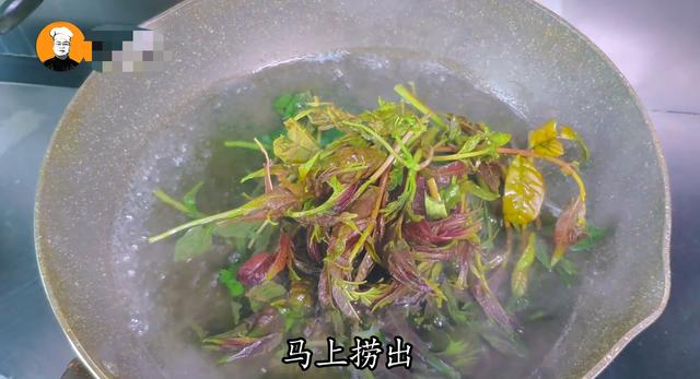 香椿怎么做好吃又简单方法（教你香椿最简单的吃法）(4)