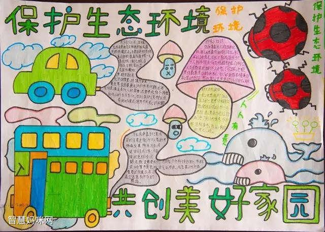 护环境卫生手抄报图片（环境卫生手抄报图片简单）(1)