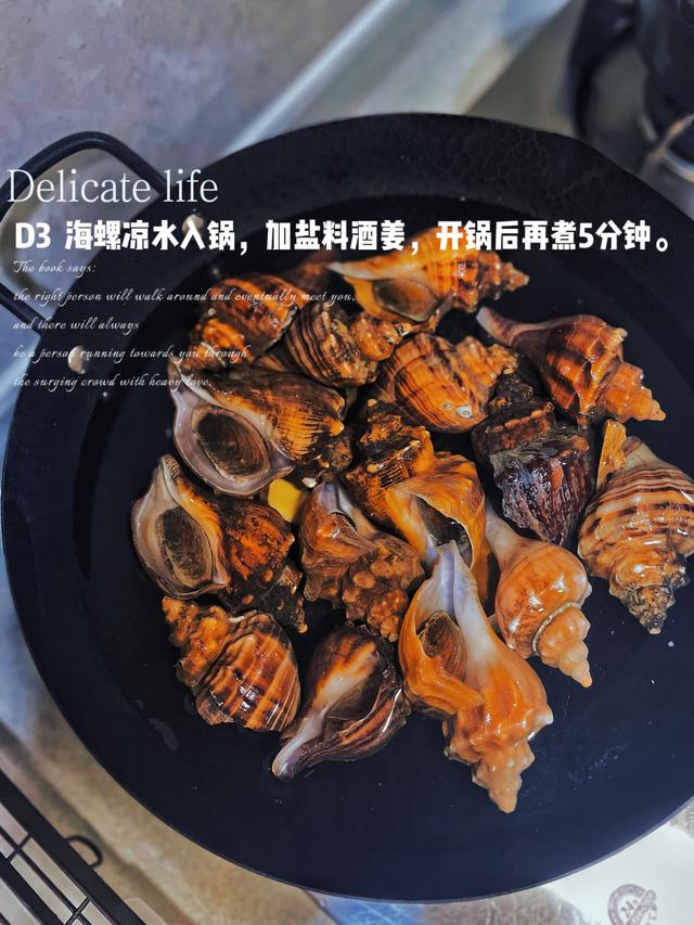 海螺有哪些经典做法（零失败5步解锁海螺的神仙做法）(3)