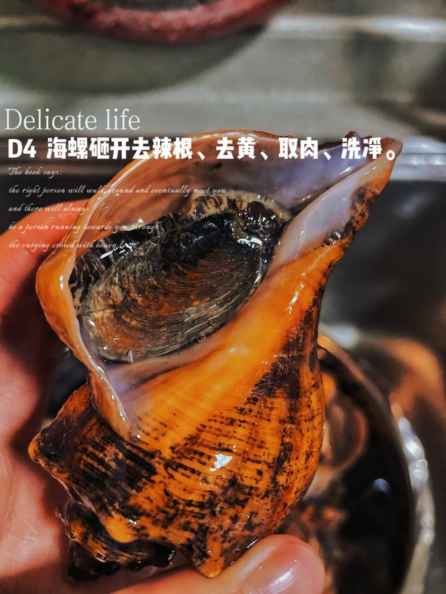 海螺有哪些经典做法（零失败5步解锁海螺的神仙做法）(4)
