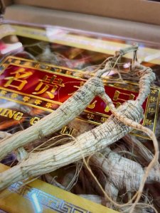 ​人参的主要产地在哪里（人参的介绍）
