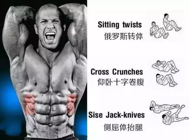 腹肌速成的几个办法（事半功倍的腹肌养成法）(7)