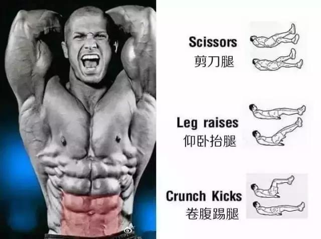 腹肌速成的几个办法（事半功倍的腹肌养成法）(8)