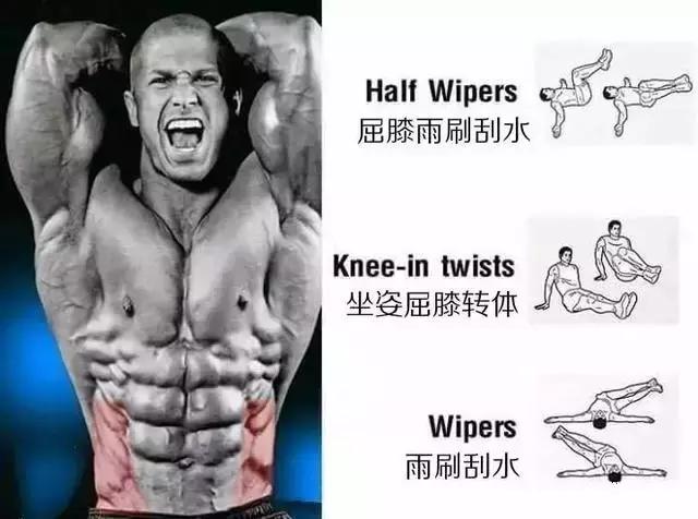 腹肌速成的几个办法（事半功倍的腹肌养成法）(6)