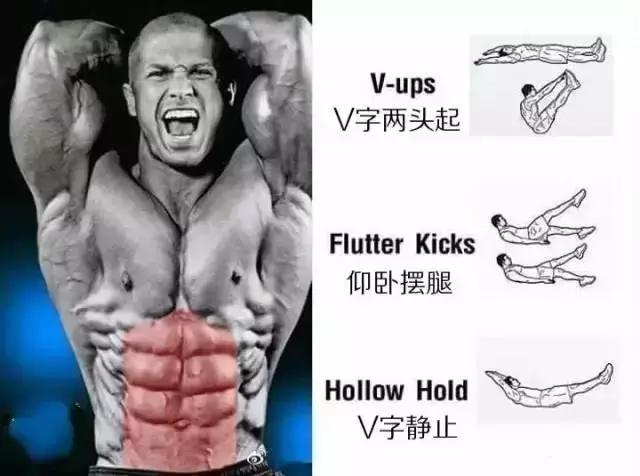 腹肌速成的几个办法（事半功倍的腹肌养成法）(5)