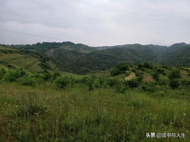 广州大型ufo不明飞行物（甘肃天水齐寿山附近上空出现不明飞行物）(5)