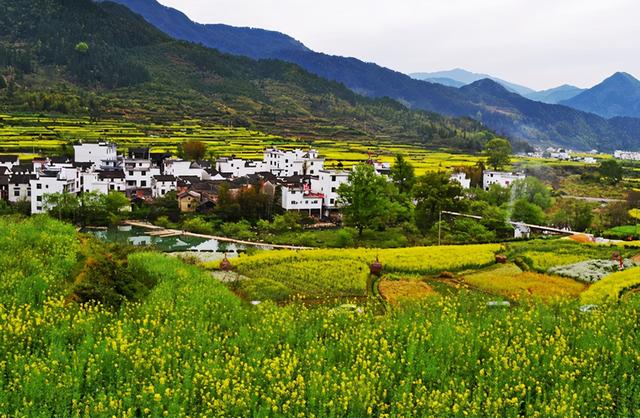 春游旅游攻略大全（春游不知道去哪里玩）(4)