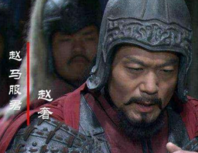 ​赵奢是谁 赵奢的后代为什么姓马