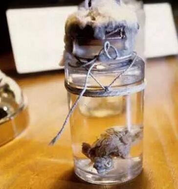 慎点！费城沉口胃博物馆 美国人体器官博物馆图片