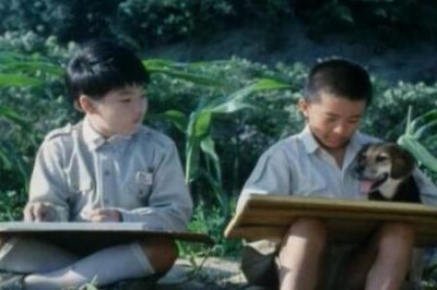 ​鲁冰花电影什么时候上映