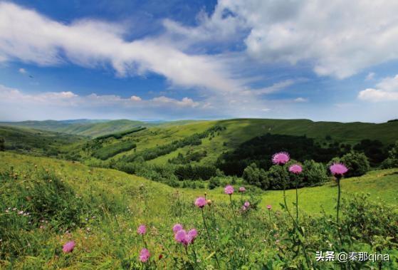 岚县属于哪个省哪个市(山西岚县属于哪个市)