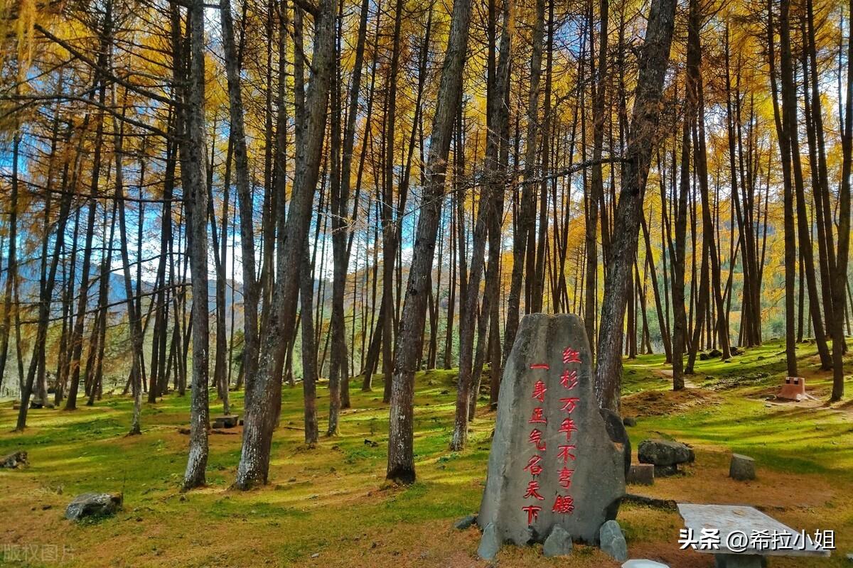 甘孜旅游攻略必去景点(四川甘孜旅游景点有哪些)