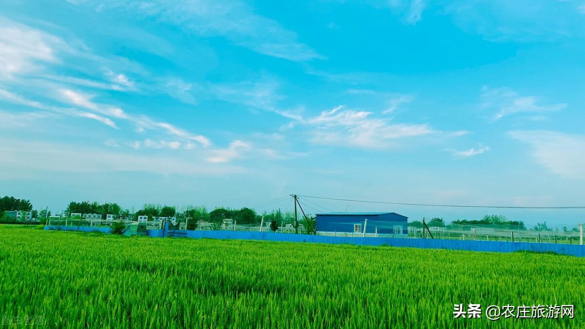 天门市属于哪个市(湖北省天门市属于哪个市)