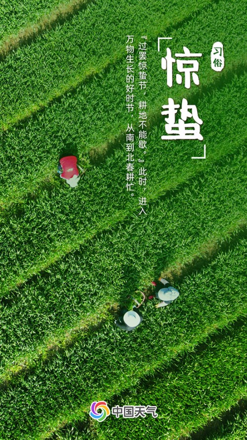 惊蛰时节天气大部回暖 全国春雷地图看哪里雷声隆隆