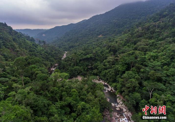 第二天：三亚-五指山-万宁金鸡岭（海埂公园)-槟榔谷-五公庙景区