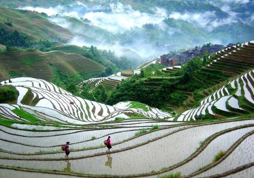 第四天：荔浦—龙胜—阳朔—象鼻山—龙脊梯田—龙脊梯田景区