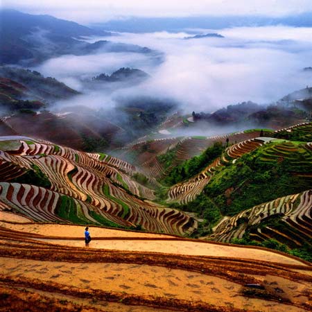 第五天：龙脊梯田景区—龙胜田园风光—桂林市区