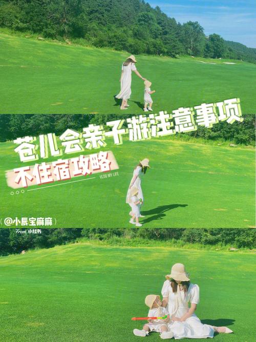 四、亲子游需要注意哪些问题