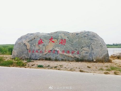 3.博兴黄河国家湿地公园