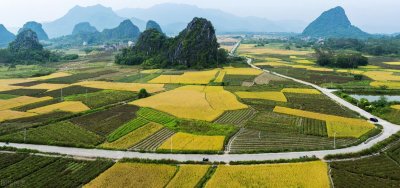 ​阳春市属于哪个省哪个市(广东阳春市属于哪个市)