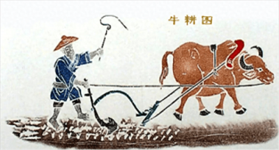 ​农业合作化运动时间(农业合作化是在哪一年)