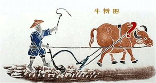 农业合作化运动时间(农业合作化是在哪一年)