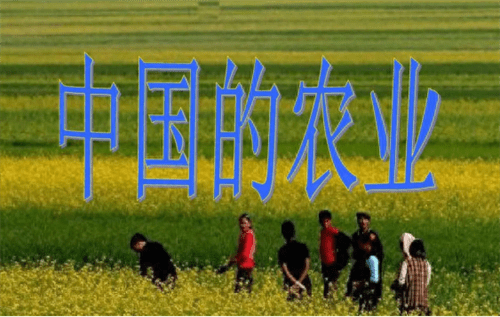 农业合作化运动时间(农业合作化是在哪一年)