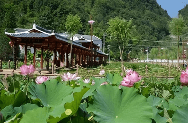 巫溪有哪些古镇旅游景点(巫溪最美的3个古镇介绍)