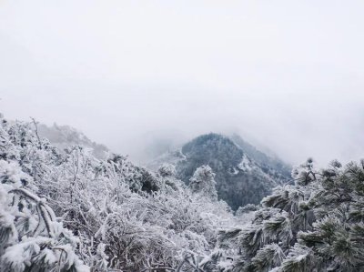 ​衡阳有什么好玩的地方景点(衡阳旅游攻略必去的7个景点)