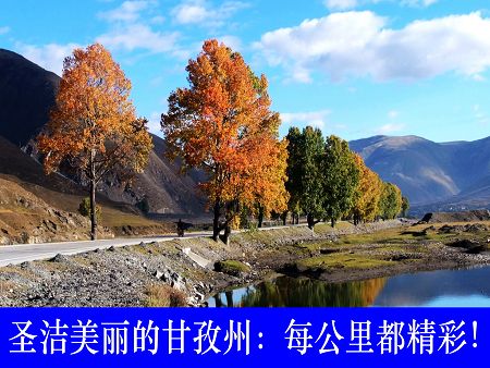 3、新都桥-丹巴大草原（贡嘎山脚下，在川西首推）