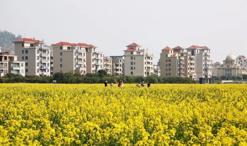 3、黄岐风景区