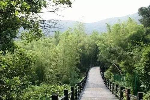 2、大阳山生态风景区位于市区东北方向，距市区25公里，距苏州市区28公里、苏州工业园区32公里、苏州大学20公里。