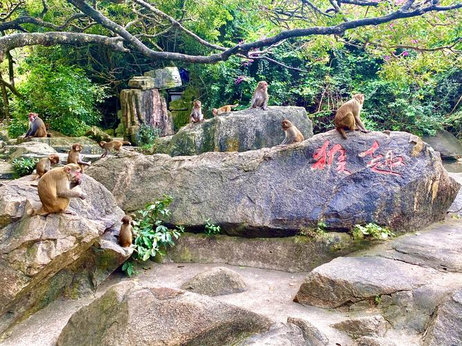 一、保亭南湾猴岛景区