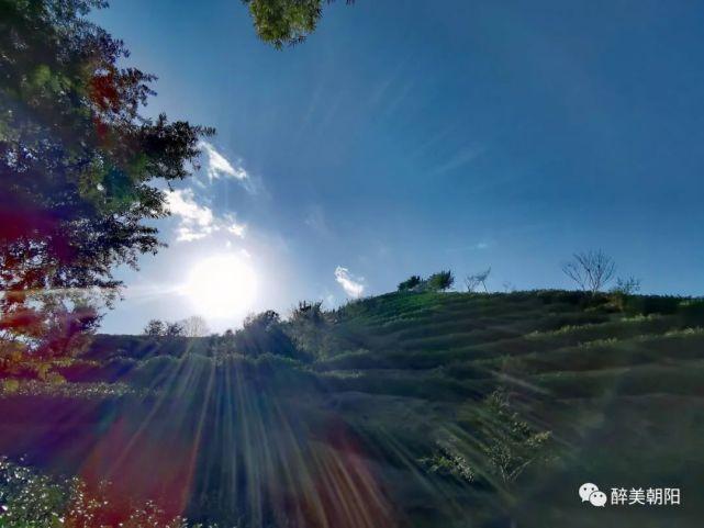 5、这里的空气很好；