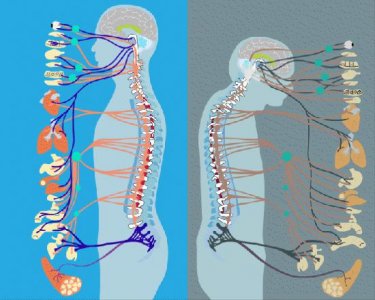 ​中国科学家最新发现→