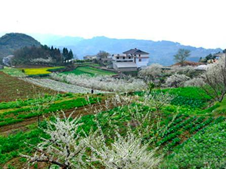 5、龙水坪—黄安坪