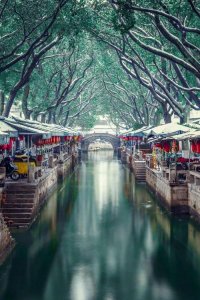 ​上海周边哪里适合露营的地方