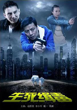 《生死缉毒》电影封面