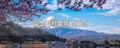 ​富士山下的爱情是什么意思 富士山爱情论真正意思