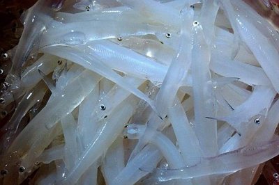 ​太湖三白是哪三白?