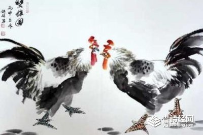​唐玄宗为什么喜欢斗鸡