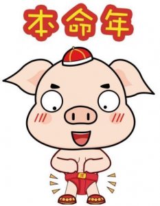 ​本命年注意事项 2019年猪年犯太岁化解全解密