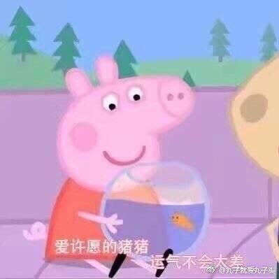 囧哥:无法掩饰的除了咳嗽贫穷和爱情，还有数学成绩