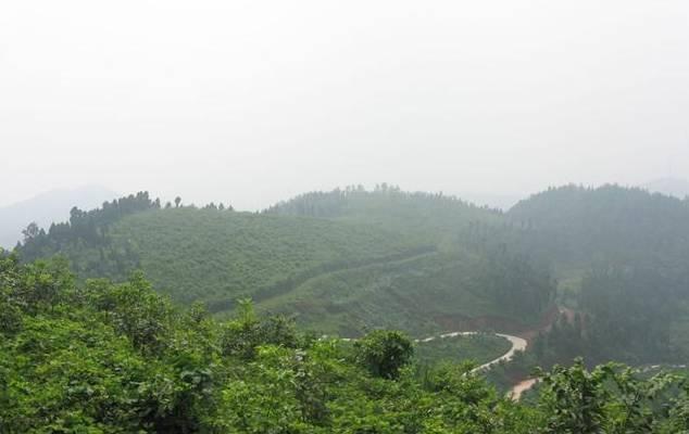 相当于五个青城山那么大, 小高带你打探龙泉山城市森林公园!