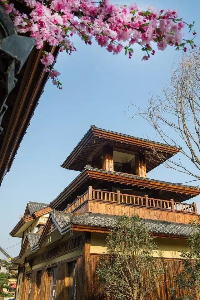 全国首个“诗经小镇”亮相西咸新区沣东新城