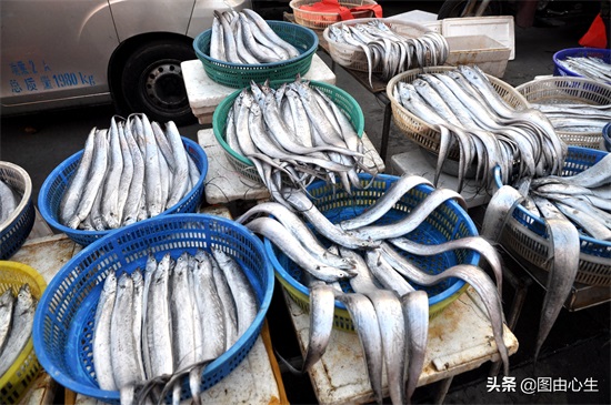 气温骤降青岛海鲜摊主急出货 螃蟹10块一斤随便挑 大虾25价格坚挺