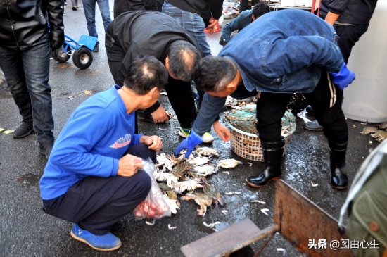 气温骤降青岛海鲜摊主急出货 螃蟹10块一斤随便挑 大虾25价格坚挺